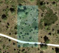 Invest in 1.27 Acres in Polk County, Florida!