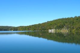 FIVE Adjacent Lots in Ozark Acres, Arkansas!