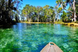 Explore Citrus County: A Nature Lover's Paradise in Homosassa, Florida!