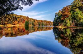 Wooded Michigan Lot Ready for Your Dream Home!