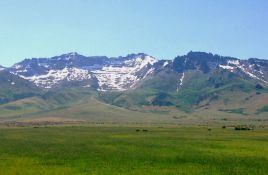 40 Acres of Nevada Wilderness!