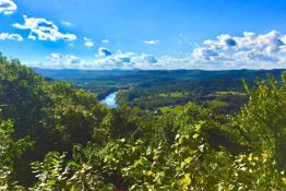 Ozark Acres, Arkansas: Build Your Dream Home on these Four Contiguous Lots!