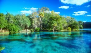 Discover the Beauty of Citrus County, Florida! Adjacent to Lot 3!