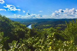 Secure 10 lots in Ozark Acres, Arkansas through SELLER-FINANCING! YOUR BID IS THE DOWN PAYMENT!