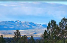 Pair of Adjacent Lots in the California Pines Community!