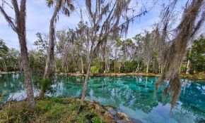Experience Florida's Charm in Crystal River! Adjacent to Lot 14!