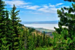 Pair of Adjacent Lots in the California Pines Community!