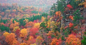 SELLER-FINANCING, YOUR BID IS THE DOWN PAYMENT! 10 lots in Ozark Acres, Arkansas!