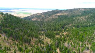 Two Adjacent Buildable Lots in Peaceful California Pines, Modoc County, CA!