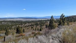 California Pines Community: Claim Three Contiguous Lots Here!