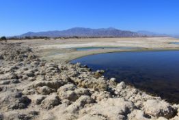 Imperial County, California: Explore the Salton Sea!