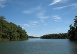 YOUR BID IS YOUR DOWN PAYMENT! FINANCE 10 lots in Arkansas!
