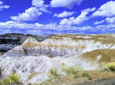 Breathtaking and Historic Arizona: 1.26 Acre Lot in Navajo County!