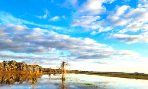 Serene 1.26 Acres of Wooded Land in Polk County, Florida!