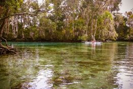 Citrus County: See Florida's Hidden Gem! Adjacent to Lot 42!