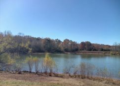 Ozark Acres: Own FIVE Adjacent Lots in Arkansas!