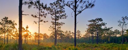 Peaceful Parcel in Charlotte County, Florida!