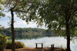 Jackson County: Serenity at this Magnificent Michigan Lot!