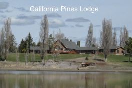 Two Adjacent Buildable Lots in Peaceful California Pines, Modoc County, CA!