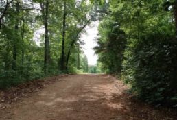 10 lots in Ozark Acres, Arkansas! YOUR BID IS YOUR DOWN PAYMENT!