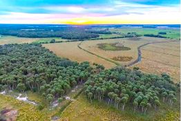 Serene 1.26 Acres of Wooded Land in Polk County, Florida!