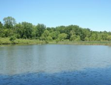 Beautiful Lot Near the Water in Van Buren, Michigan!