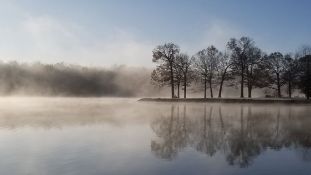 Arkansas Ozarks: 20 Lots in Cherokee Village! BIDDING IS PER LOT!