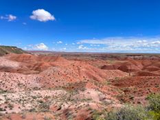 1.3 Acre Plot Located Close to Arizona's Interstate 40!