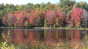Enjoy Townline Lake, Montcalm County, Michigan!