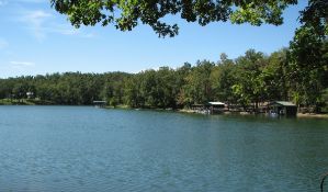 Ozark Acres: Own FIVE Adjacent Lots in Arkansas!