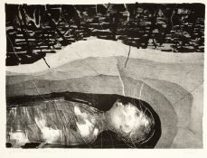 ARNO RINK
