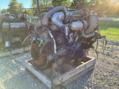 International Engine Assembly