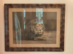 Framed Lion Print