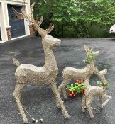 Outdoor Christmas Decor