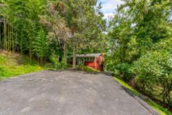 Live Real Estate Auction!