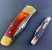 Limited Edition Buck Knife: 34/100 and Schrade: The OId Timer Knife 330T