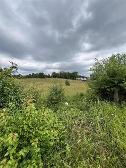 Online Commercial Real Estate Auction