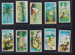 Trade cards, H E Empson & Son, The Island of Ceylon, set 24 cards (number 24 slightly grubby, rest