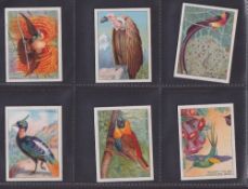 Trade cards, J Sainsbury Ltd, Foreign Birds, (set 12 cards) (number 1 slightly grubby front rest