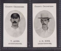 Cigarette cards, Taddy, County Cricketers, Leicestershire, two cards, T. Jayes & J.H. King (both vg)