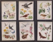 Cigarette cards, Player's, A Nature Calendar, 'L' size (set 24 cards) (gd/vg)