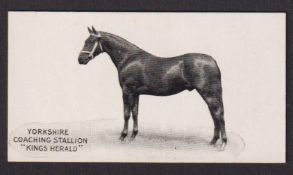Cigarette card, Taddy, Famous Horses & Cattle, type card, no 10, Yorkshire Coaching Stallion, 'Kings