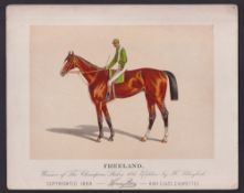 Cigarette card, USA, Kinney Bros, Racehorses, extra large non-insert card, 'Freeland', 253mm x 203mm