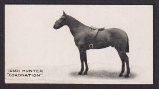 Cigarette card, Taddy, Famous Horses & Cattle, type card, no 18, Irish Hunter 'Coronation' (vg) (1)