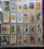 Cigarette cards, selection of 600+ cards in large album many different subjects and issuers