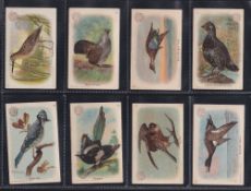 Trade cards, USA Church & Dwight New Series of Birds (title in smaller capitals), set 30 cards (gd)