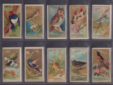 Cigarette cards, USA, Allen & Ginter Birds of America, (set 50 cards) (fronts gen gd, backs mixed,