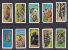 Trade cards, Brooke Bond (Canada), Animals & Their Young (Tea / Coffee) (set, 48 cards) (vg/ex)