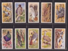 Trade cards, Brooke Bond (Rhodesia), African Birds (set, 50 cards) (vg)