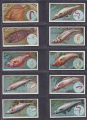 Cigarette cards, Churchman Fish & Bait (set 50 cards) (number 48 slightly grubby otherwise gen vg